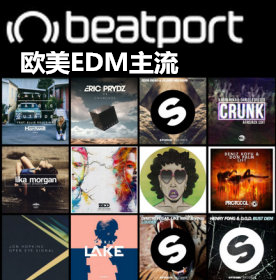 [04.29]Beatport 百大DJ 欧美EDM主流(1.95G)